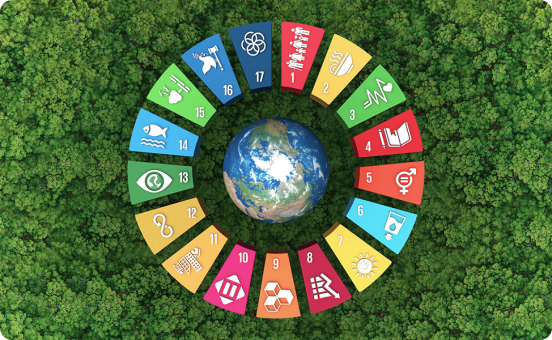 Sustainable development goals